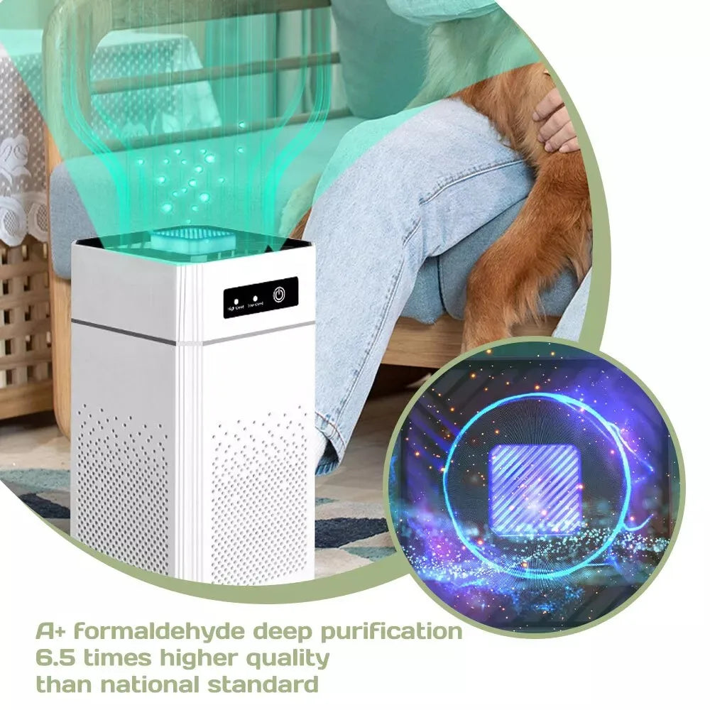 HEPA Air Purifier For Home Large Room Dust Smoke Odor Cleaner