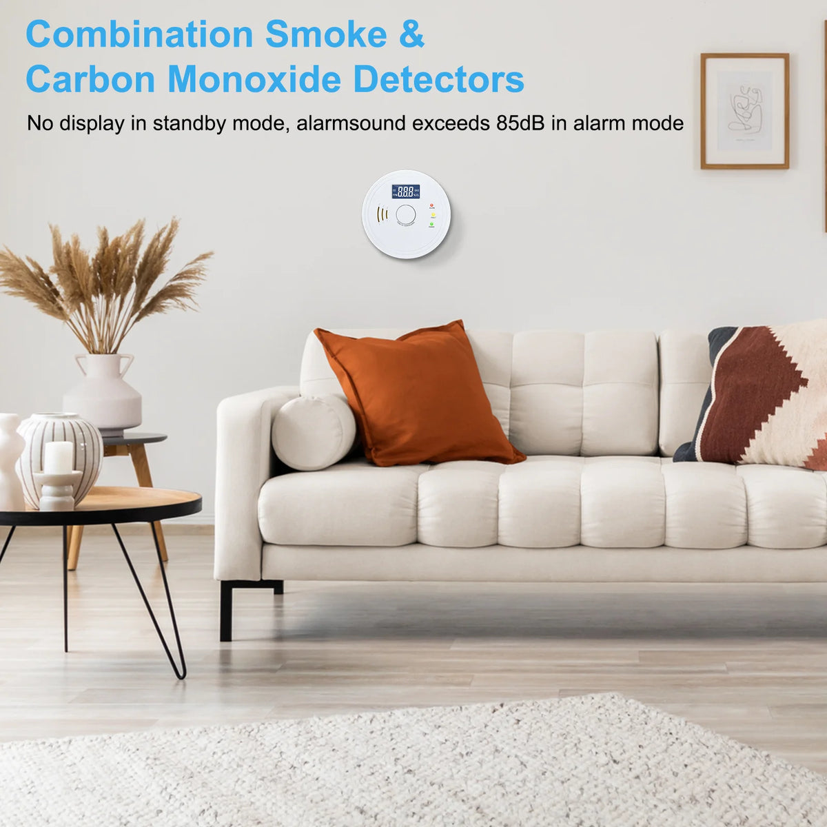 Battery Operated Smoke and Carbon Monoxide Detector Combo LED Indicators