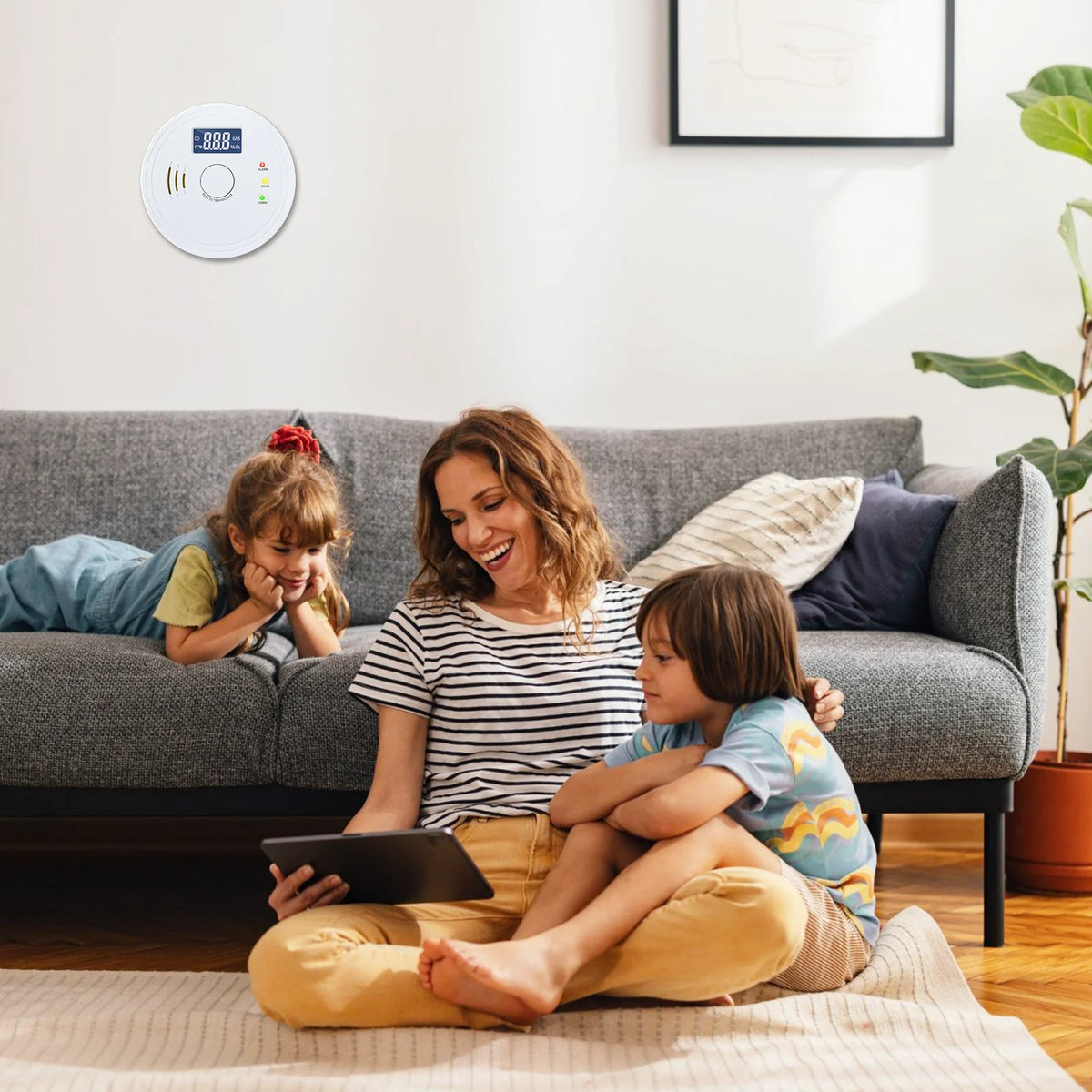 Battery Operated Smoke and Carbon Monoxide Detector Combo LED Indicators
