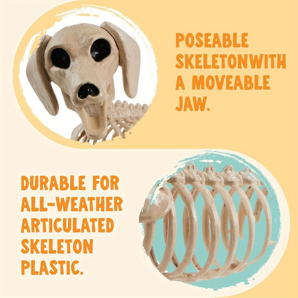 Posable Wiener Dog Skeleton Halloween Decoration With Movable Joints